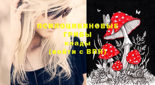 стаф Верхнеуральск