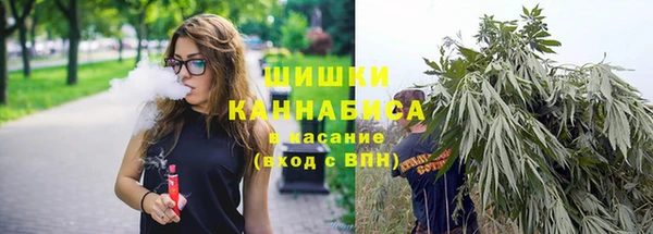 круглые Бородино