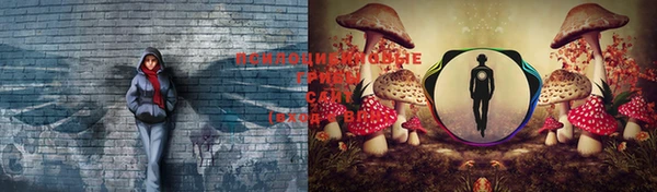 стаф Верхнеуральск