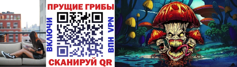 Псилоцибиновые грибы мицелий  Купить  Новое Девяткино 