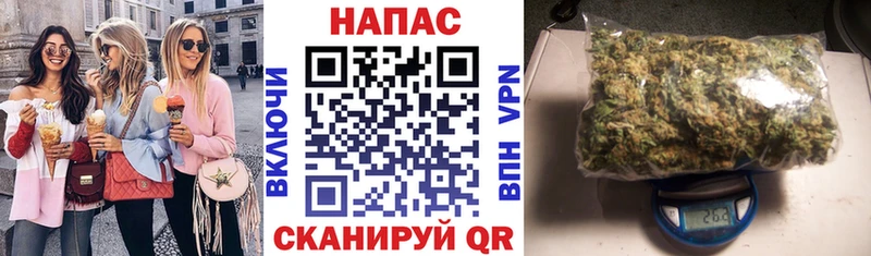 Каннабис OG Kush  Купить  Новое Девяткино 